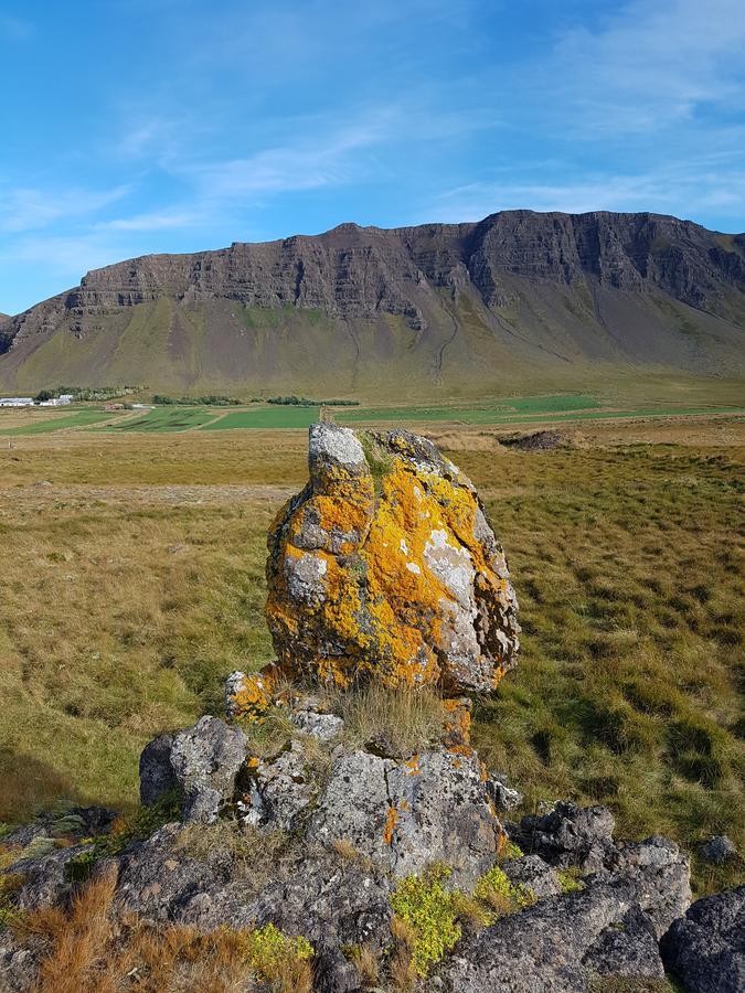 Affittacamere Mithjanes Reykholahrepp Reykholar Esterno foto