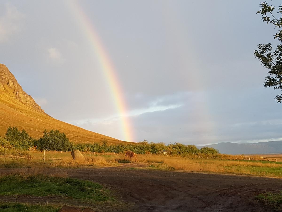 Affittacamere Mithjanes Reykholahrepp Reykholar Esterno foto