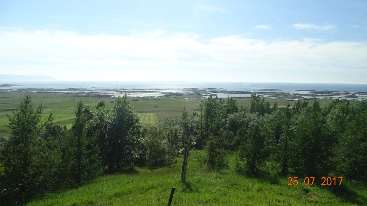 Affittacamere Mithjanes Reykholahrepp Reykholar Esterno foto