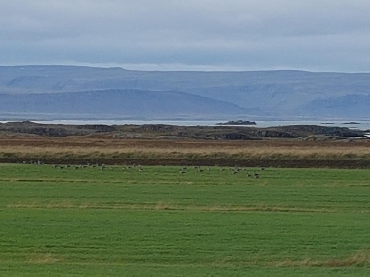 Affittacamere Mithjanes Reykholahrepp Reykholar Esterno foto