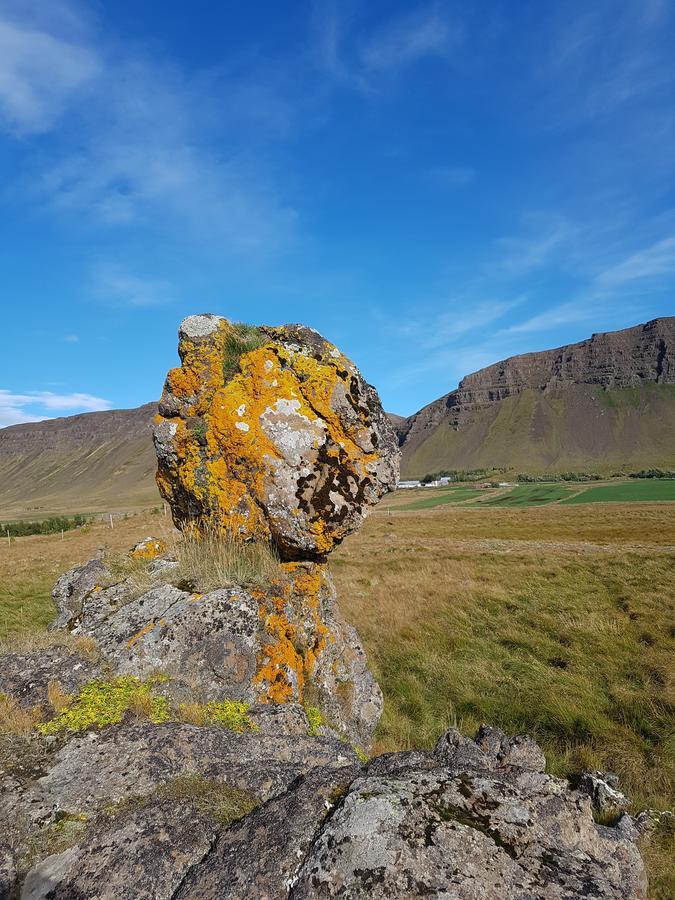 Affittacamere Mithjanes Reykholahrepp Reykholar Esterno foto