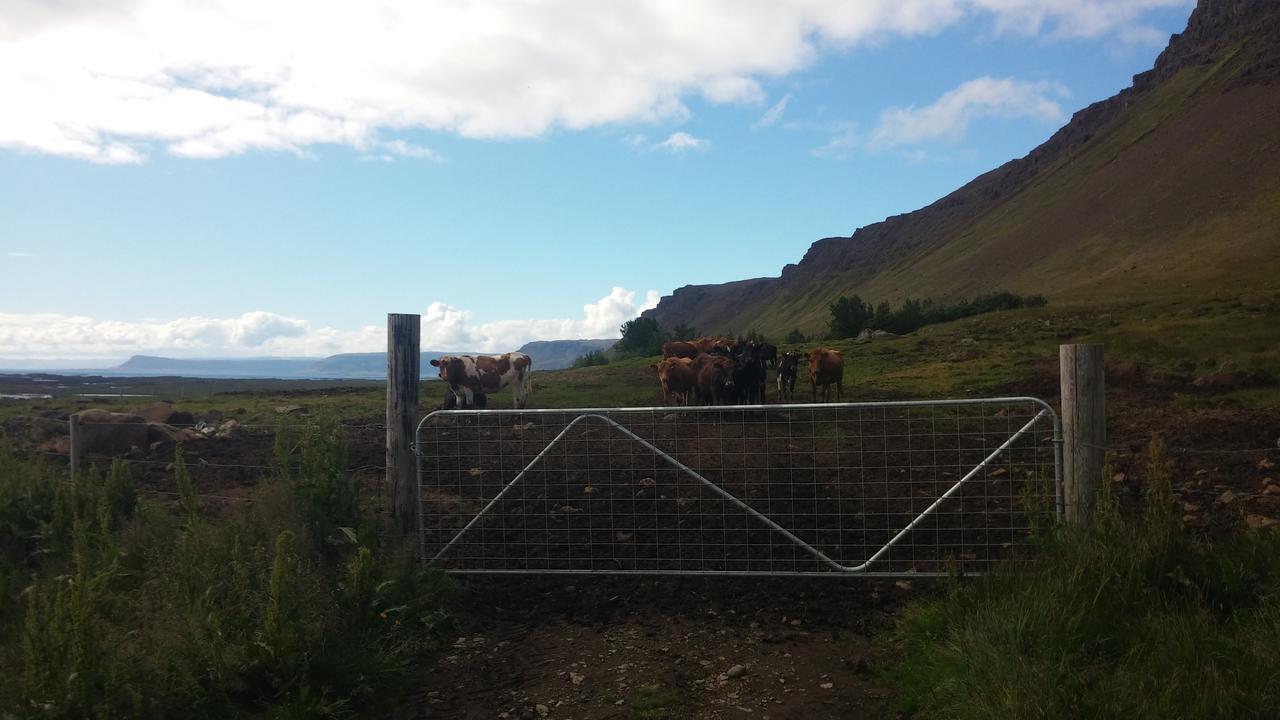 Affittacamere Mithjanes Reykholahrepp Reykholar Esterno foto